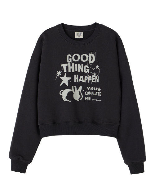 DANGLEDROP(ダングルドロップ)の「DGDP GOOD THING クロップマンツーマンチャコール(スウェット・レディース・その他・S/M)」の2枚目の写真