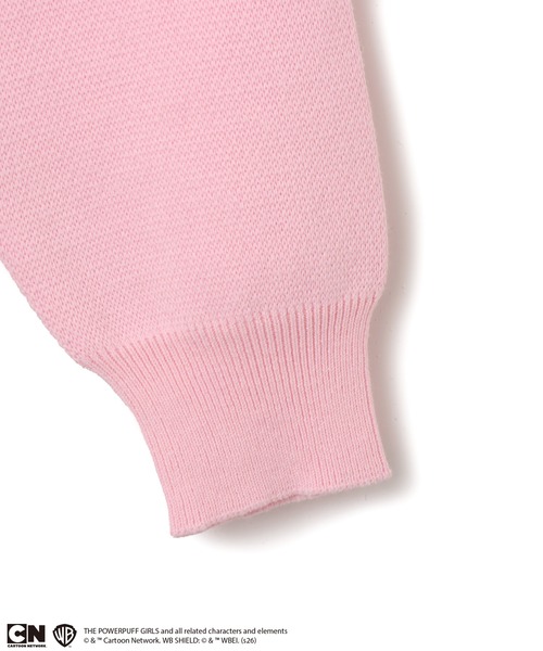 atmos pink（アトモスピンク）の「The Powerpuff Girls x atmos pink Embroidary Sweater / ザ パワーパフ ガールズ x アトモス ピンク エンブロイダリー セーター【SP】（ニット/セーター・レディース・サックスブルー/ピンク/カモフラージュ・FREE）」の16枚目の写真