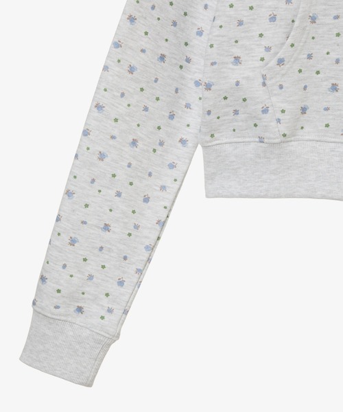 aeae（エーイーエーイー）の「WEB LOGO CROP HOOD ZIP-UP（パーカー・レディース・ピンク/ブルー・FREE）」の6枚目の写真