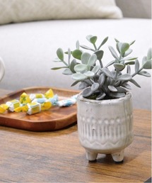 BACKYARD FAMILY(�o�b�N���[�h�t�@�~���[)�̌��G�} ���s�G �|�b�g(�C���e���A�G��)