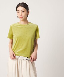 <CITEN>ベロアトップ
