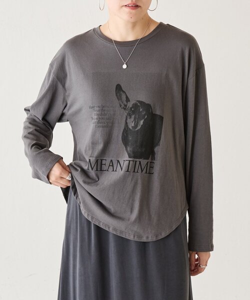 BEARDSLEY（ビアズリー）の「ドッグプリントロンTee《FRIPIER》（Tシャツ/カットソー・レディース・ブラウン/ダークグレー・FREE）」の5枚目の写真