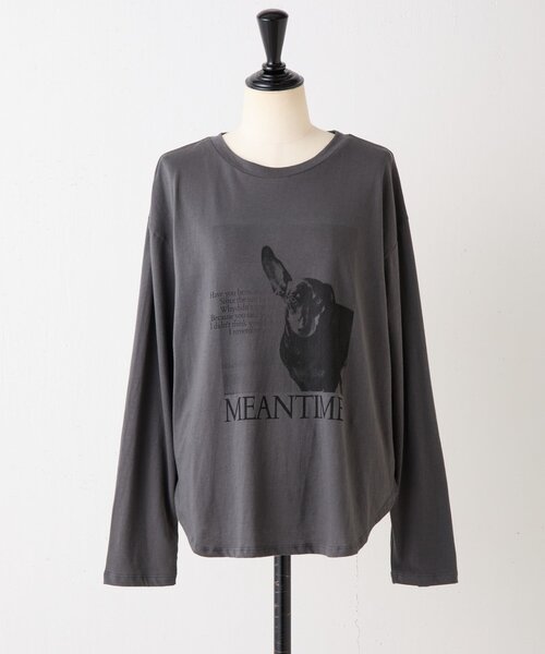 BEARDSLEY（ビアズリー）の「ドッグプリントロンTee《FRIPIER》（Tシャツ/カットソー・レディース・ブラウン/ダークグレー・FREE）」の21枚目の写真