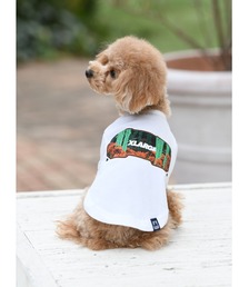 ペットウェアファッション通販 Zozotown