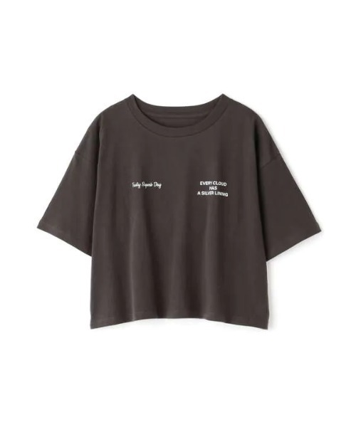 N.（N. Natural Beauty Basic）（エヌエヌナチュラルビューティーベーシック）の「◆ショートロゴＴシャツ（Tシャツ/カットソー・レディース・オフホワイト/ライトグリーン/スミクロ・MEDIUM）」の15枚目の写真