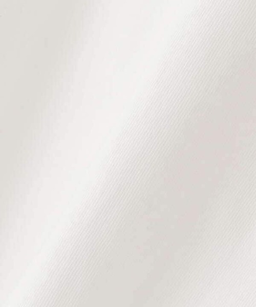 N.（N. Natural Beauty Basic）（エヌエヌナチュラルビューティーベーシック）の「◆ショートロゴＴシャツ（Tシャツ/カットソー・レディース・オフホワイト/ライトグリーン/スミクロ・MEDIUM）」の14枚目の写真