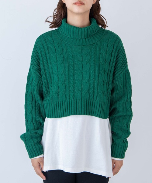 WEGO（ウィゴー）の「WEGO/ハイネックショートニット（ニット/セーター・レディース・グリーン/ブラック/ホワイト・FREE）」の15枚目の写真