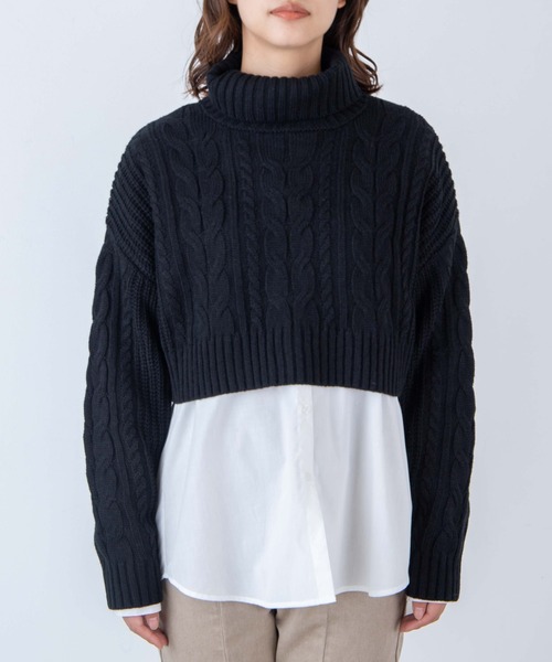 WEGO（ウィゴー）の「WEGO/ハイネックショートニット（ニット/セーター・レディース・グリーン/ブラック/ホワイト・FREE）」の16枚目の写真