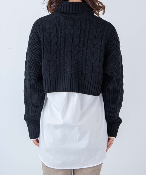 WEGO（ウィゴー）の「WEGO/ハイネックショートニット（ニット/セーター・レディース・グリーン/ブラック/ホワイト・FREE）」の18枚目の写真