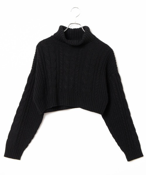 WEGO（ウィゴー）の「WEGO/ハイネックショートニット（ニット/セーター・レディース・グリーン/ブラック/ホワイト・FREE）」の21枚目の写真