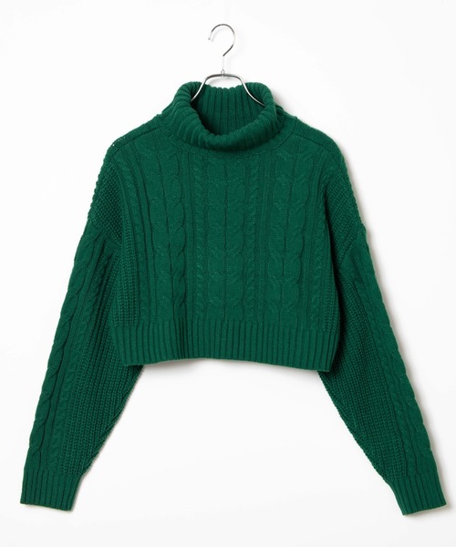 WEGO（ウィゴー）の「WEGO/ハイネックショートニット（ニット/セーター・レディース・グリーン/ブラック/ホワイト・FREE）」の19枚目の写真