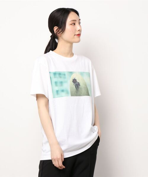 ACCOMMODE(アコモデ)の「Jurassic World Tシャツ(Tシャツ/カットソー・レディース・ホワイト・FREE)」の1枚目の写真