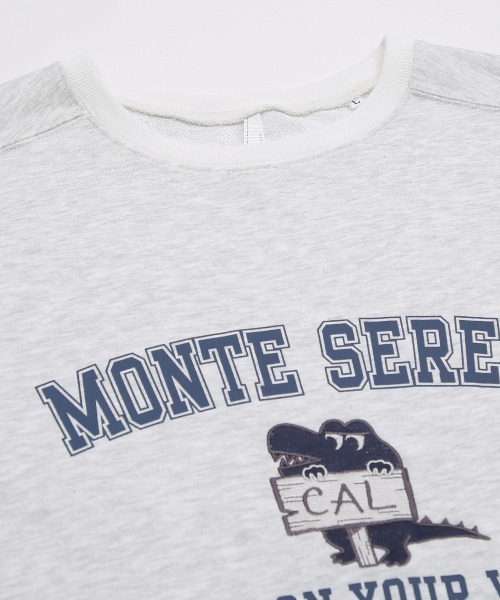 improves（インプローブス）の「プリント＆刺しゅう スウェット オーバーサイズ 半袖Tシャツ（Tシャツ/カットソー・メンズ・アッシュ/オレンジ/グリーン・MEDIUM/LARGE）」の5枚目の写真