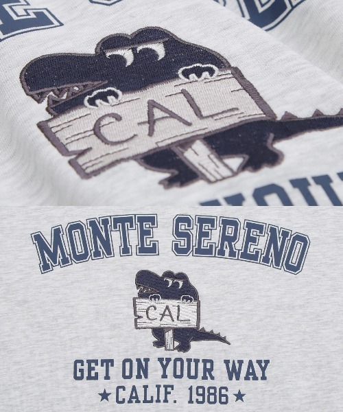 improves（インプローブス）の「プリント＆刺しゅう スウェット オーバーサイズ 半袖Tシャツ（Tシャツ/カットソー・メンズ・アッシュ/オレンジ/グリーン・MEDIUM/LARGE）」の13枚目の写真