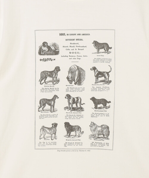 Bshop（ビショップ）の「History of Art | プリントTシャツ DOG WOMEN 