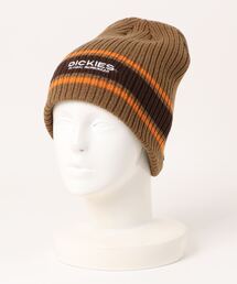 Dickies | Dickies EX LINE LOGO KNIT BEANIE(ニットキャップ/ビーニー)