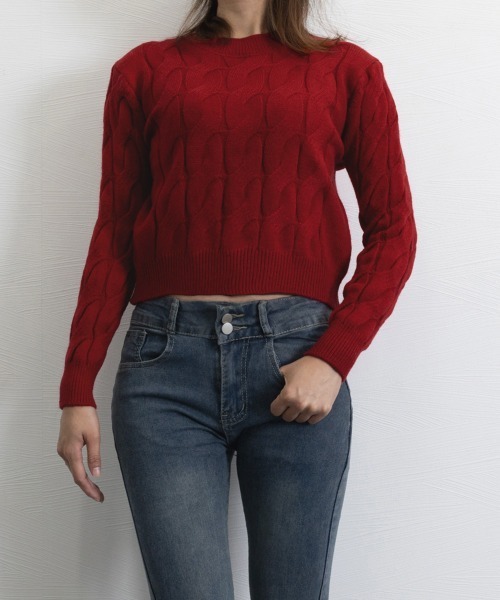 Miniministore(ミニミニストア)の「ニットトップス ショート丈 レディース(ニット/セーター・レディース・ブラック/ワインレッド/アイボリー/ロイヤルブルー・FREE)」の14枚目の写真