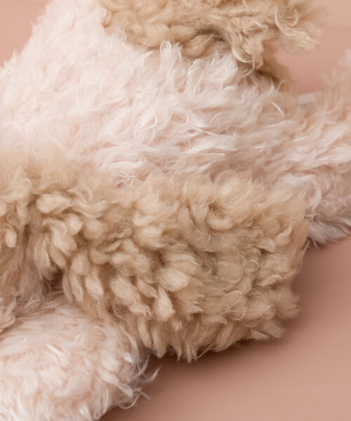 BIRTHDAY BAR（バースデイバー）の「【MON AMI　モナミ】ボガートパピー（おもちゃ・キッズ・アイボリー・0）」の7枚目の写真