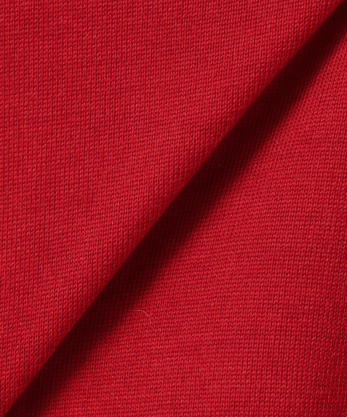 JOURNAL STANDARD relume(ジャーナルスタンダード レリューム)の「《追加3 / 一部WEB限定》BiellaYarnワイドタートルネック(ニット/セーター・レディース・ブラウン/ライトグレー/レッド/チャコールグレー/ライトブルー・FREE)」の11枚目の写真