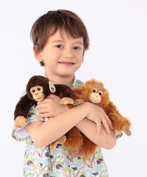 SHIPS（シップス）の「BON TON TOYS:WWF orangutan/chimpanzee ぬいぐるみ（その他・キッズ・キャメル/ブラウン・ONE SIZE）」の7枚目の写真