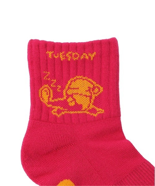 CHUMS(チャムス)の「【CHUMS/チャムス】 CHUMS Day Socks(ソックス/靴下・レディース・その他4/その他7/その他6/その他1/その他2/その他5/その他3・M)」の18枚目の写真