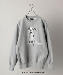 *SHIPS: ビッグシルエット YALE UNIVERSITY DOG スウェット