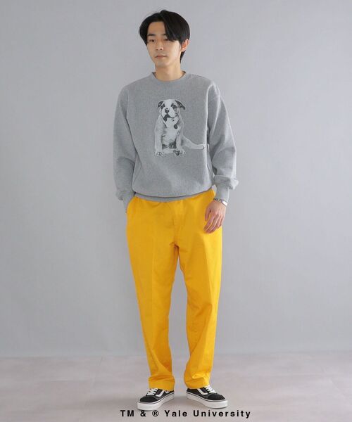 SHIPS(シップス)の「*SHIPS: ビッグシルエット YALE UNIVERSITY DOG スウェット(スウェット・メンズ・チャコールグレー・MEDIUM/LARGE/X-LARGE)」の3枚目の写真