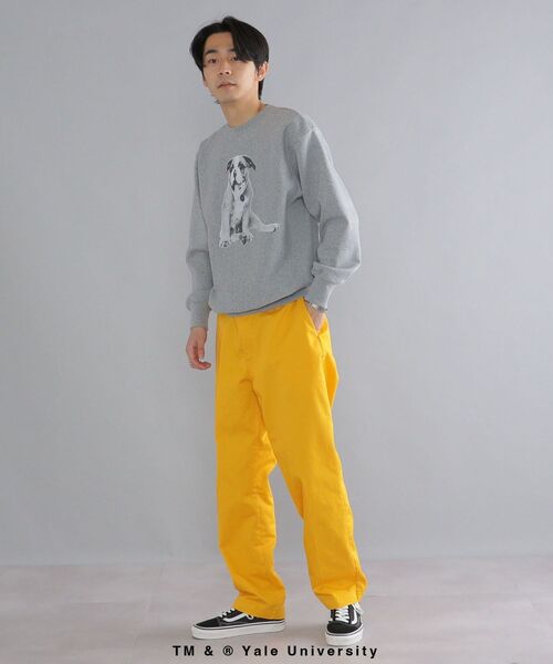 SHIPS(シップス)の「*SHIPS: ビッグシルエット YALE UNIVERSITY DOG スウェット(スウェット・メンズ・チャコールグレー・MEDIUM/LARGE/X-LARGE)」の4枚目の写真