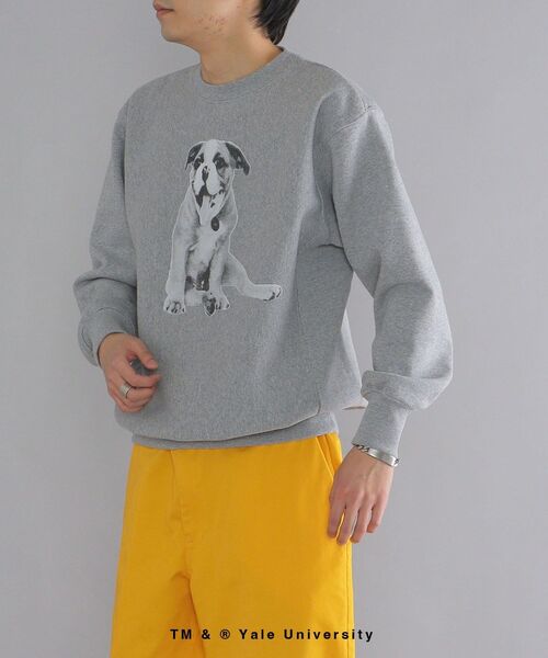 SHIPS(シップス)の「*SHIPS: ビッグシルエット YALE UNIVERSITY DOG スウェット(スウェット・メンズ・チャコールグレー・MEDIUM/LARGE/X-LARGE)」の8枚目の写真