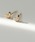 SIENA ROSE�i�V�G�i���[�j�́upetit�E�n�[�g�_�C���s�A�X�i�s�A�X�i�����p�j�j�v�b�C�G���[�S�[���h