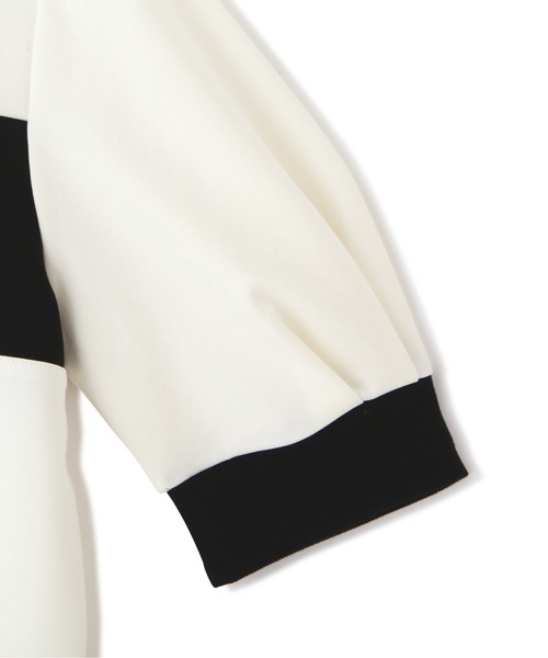 JILL by JILL STUART(ジルバイジルスチュアート)の「◇袖ボリュームポロシャツ(Tシャツ/カットソー・レディース・ホワイト系その他/ホワイト・FREE)」の21枚目の写真