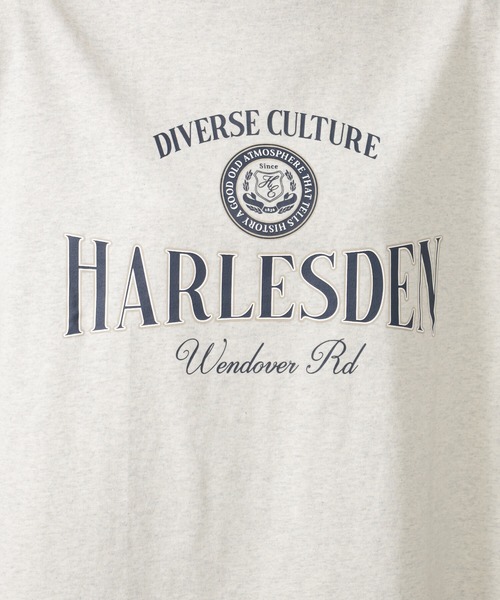 FOUND GOOD（ファウンドグッド）の「BIGプリントTEE/7S（Tシャツ/カットソー・レディース・グレー系8/アイボリー/グレー系5/ホワイト系5/レッド系8・L/M/S）」の21枚目の写真