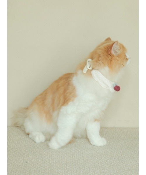 gelato pique(ジェラートピケ)の「【CAT&DOG】スムーズィーチョーカー(リード/ハーネス/首輪・レディース・オフホワイト/ピンク・FREE)」の9枚目の写真