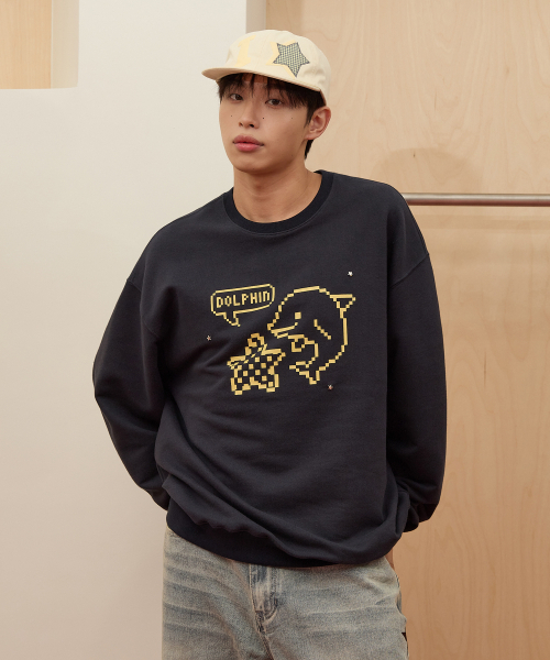 WaiKei(ワイケイ)の「ピクセルスタードルフィン スウェット ネイビー(スウェット・レディース・その他・1/2)」の2枚目の写真