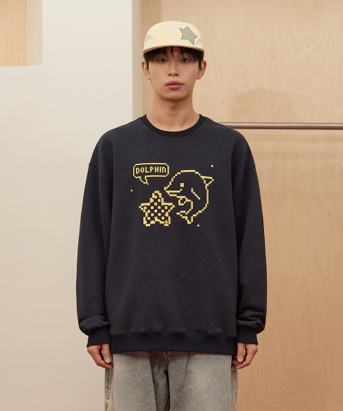 WaiKei(ワイケイ)の「ピクセルスタードルフィン スウェット ネイビー(スウェット・レディース・その他・1/2)」の4枚目の写真