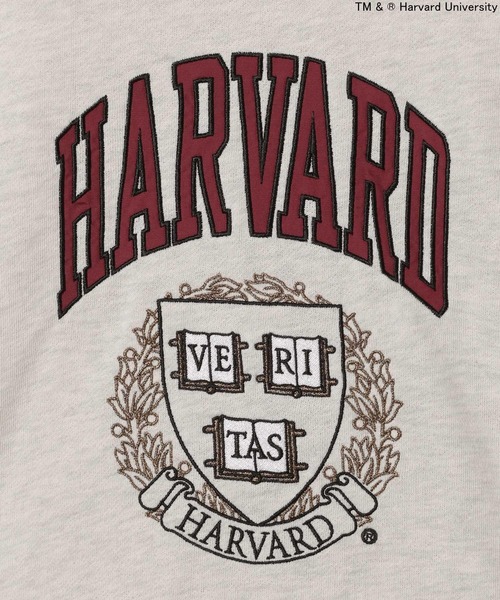 Russell Athletic（ラッセルアスレティック）の「【RUSSELL ATHLETIC (ラッセルアスレティック）】別注カレッジプルオーバー（スウェット・レディース・ボルドー/オフホワイト・FREE）」の17枚目の写真