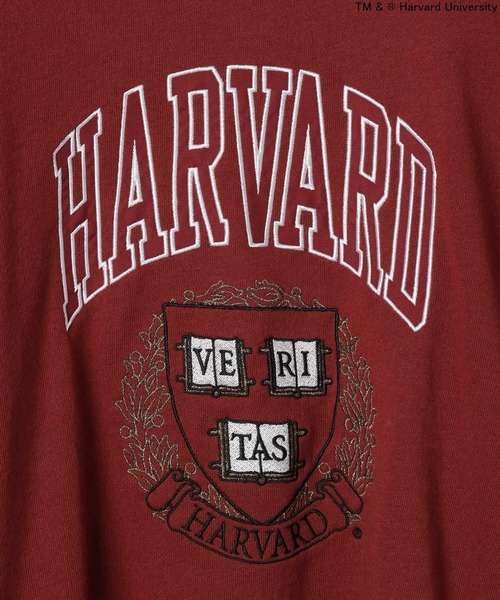 Russell Athletic（ラッセルアスレティック）の「【RUSSELL ATHLETIC (ラッセルアスレティック）】別注カレッジプルオーバー（スウェット・レディース・ボルドー/オフホワイト・FREE）」の18枚目の写真