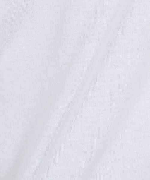 DANTON（ダントン）の「【DANTON/ダントン】ロゴスウェットTシャツ/SOLID SWEAT T-SHIRT/DT-C0204TCB/26SS（Tシャツ/カットソー・メンズ・ホワイト/ライトグレー・S/M/L/XL）」の15枚目の写真