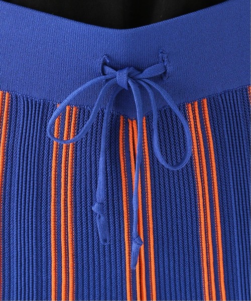 JOINT WORKS（ジョイントワークス）の「J-マルチストライプパンツ（その他パンツ・レディース・ライトグレー/ブルー・FREE）」の22枚目の写真