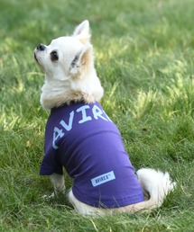 AVIREX(ABbNX)AVIREX/rbOSsdd(ybgEFA)