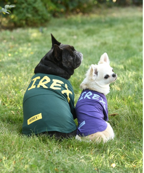 AVIREX（アヴィレックス）の「AVIREX/ビッグロゴＴＥＥ（ペットウェア・メンズ・グリーン/パープル・XS/S/2L/3S/L/3M/3L/M）」の4枚目の写真