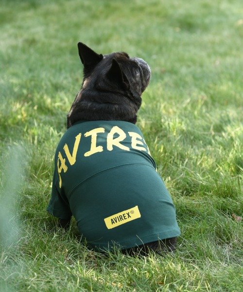 AVIREX（アヴィレックス）の「AVIREX/ビッグロゴＴＥＥ（ペットウェア・メンズ・グリーン/パープル・XS/S/2L/3S/L/3M/3L/M）」の3枚目の写真