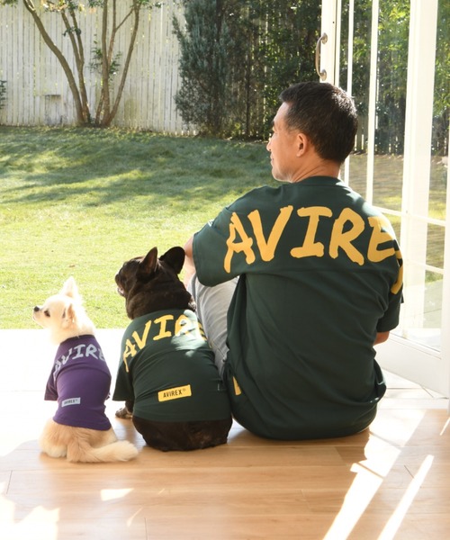 AVIREX（アヴィレックス）の「AVIREX/ビッグロゴＴＥＥ（ペットウェア・メンズ・グリーン/パープル・XS/S/2L/3S/L/3M/3L/M）」の5枚目の写真
