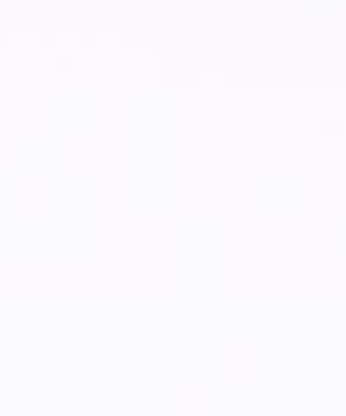 DC SHOES（ディーシーシューズ）の「23 EST94 SS/DC半袖Tシャツ（Tシャツ/カットソー・メンズ・ブラック/バーガンディー/ホワイト/ネイビー/ブラック系その他2/ホワイト系その他2/ブルー系その他・MEDIUM/LARGE/X-LARGE/XX-LARGE）」の15枚目の写真