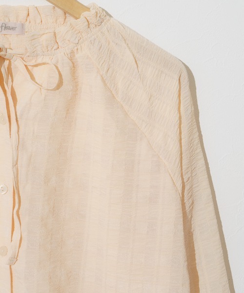 flower(フラワー)の「シアーフリルブラウス(シャツ/ブラウス・レディース・ベージュ/ネイビー・FREE)」の7枚目の写真