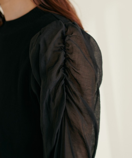 natural couture(ナチュラルクチュール)の「異素材シアー袖コンテレコTOPS(Tシャツ/カットソー・レディース・オフホワイト/ブラウン/ライトベージュ/ブラック・FREE)」の14枚目の写真