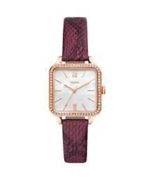 COLLEEN BQ3919