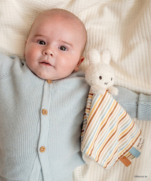 【DADWAY限定カラー】ゴーアップ/ミント DADWAY（ダッドウェイ）の「miffy x Little Dutch ミッフィー リトル