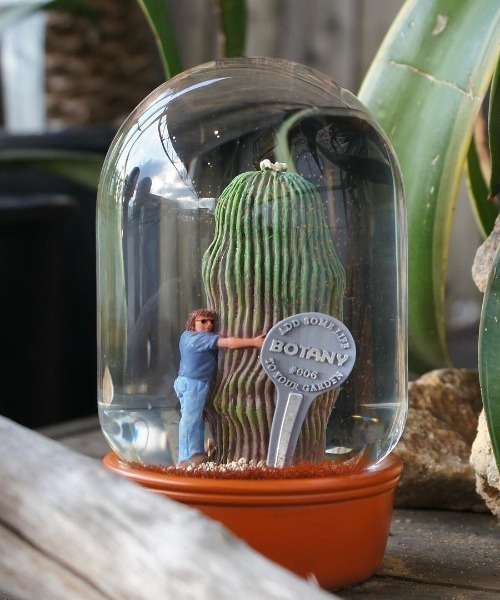 PLANTS WATER GLOBE CACTUS WITH MAN/ プランツ ウォーター グローブ カクタス ウィズ メン（インテリア雑貨）｜DULTON（ダルトン）