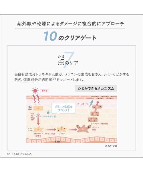 ETVOS(エトヴォス)の「薬用 UVホワイトニングクリアセラム【医薬部外品】(美容液/オイル/クリーム・レディース・その他・FREE)」の8枚目の写真